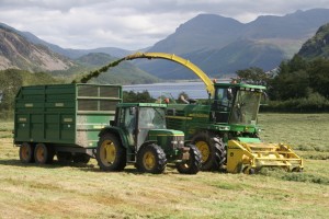 Harvesting by a lake